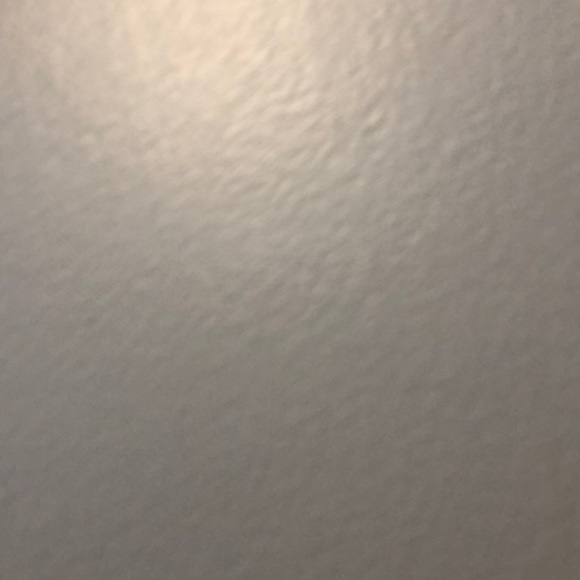 Meet your Posher, Riley - Picture 1 of 1